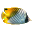 3D Fish School Screensaver icon