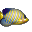 Animated Fish Desktop Wallpaper icon