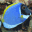 Exotic fish screensaver icon
