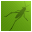 Grasshopper for Rhino icon