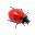 Ladybug on Desktop icon