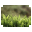 Macro Grass icon