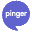 Pinger icon
