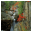 Rapid Mountain River Screensaver icon