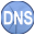Simple DNS Plus icon