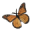 The dance's Butterfly icon
