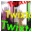 Twixtor icon