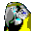 Digital Talking Parrot icon