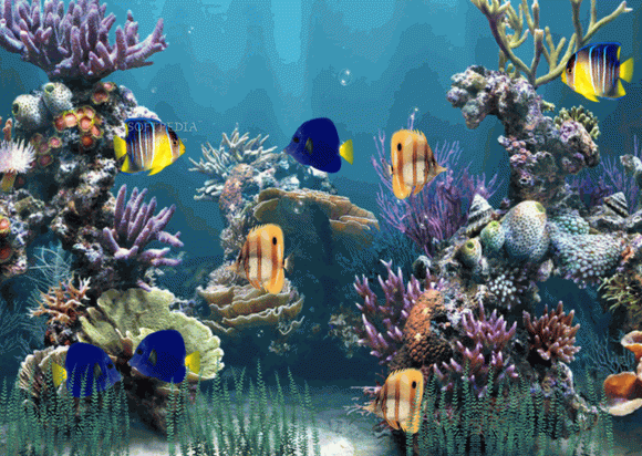 Aquarium Animated Wallpaper Crack With Activator 2024