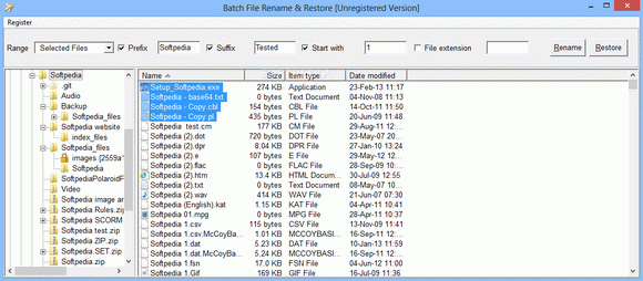 Batch File Rename & Restore Serial Number Full Version