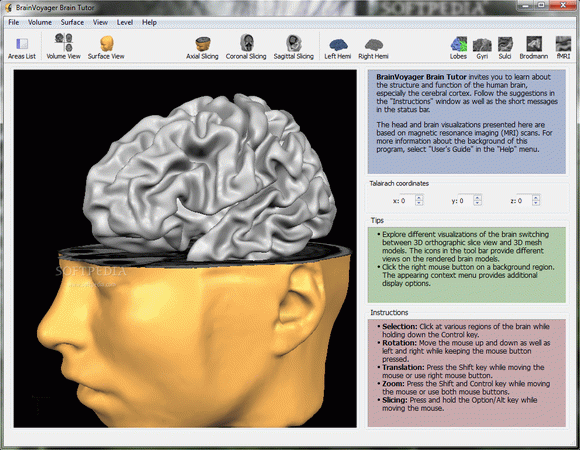 BrainVoyager Brain Tutor Activation Code Full Version