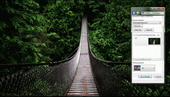 Bridge in forest Crack + License Key Download