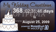Cake Wedding Countdown Crack + Activator Download