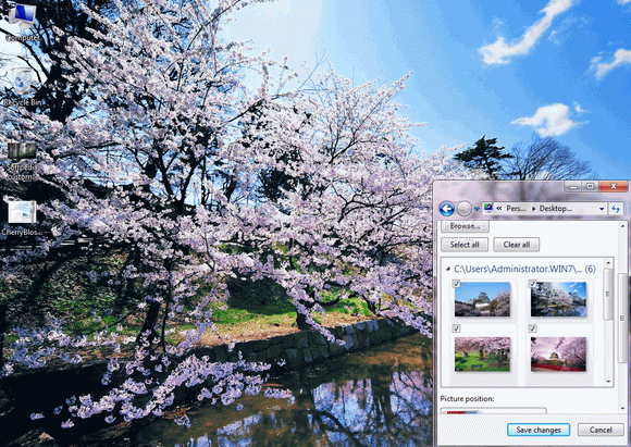 Cherry Blossoms of Japan Theme Keygen Full Version