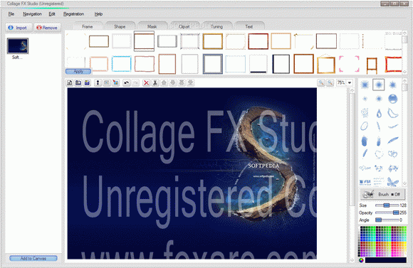 Collage FX Studio Crack With License Key 2024