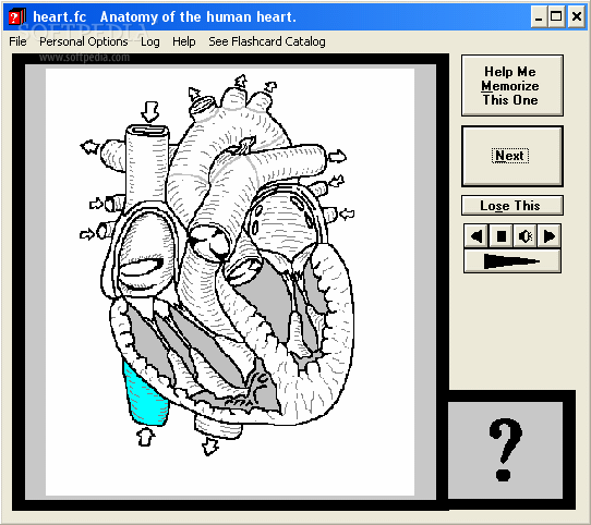Computer Flashcards of the anatomy of the human heart Crack With Activation Code 2022
