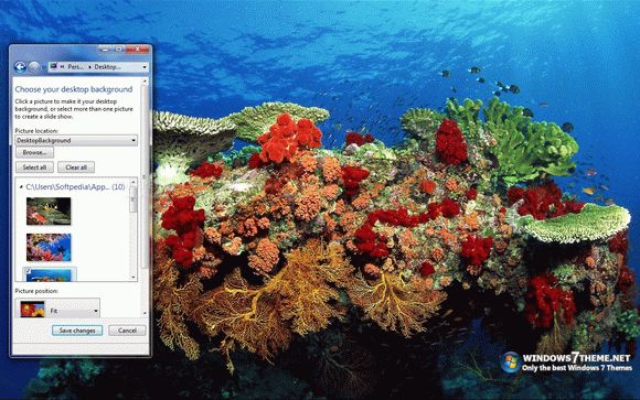 Coral Reef Windows 7 Theme with sound Crack + Activator