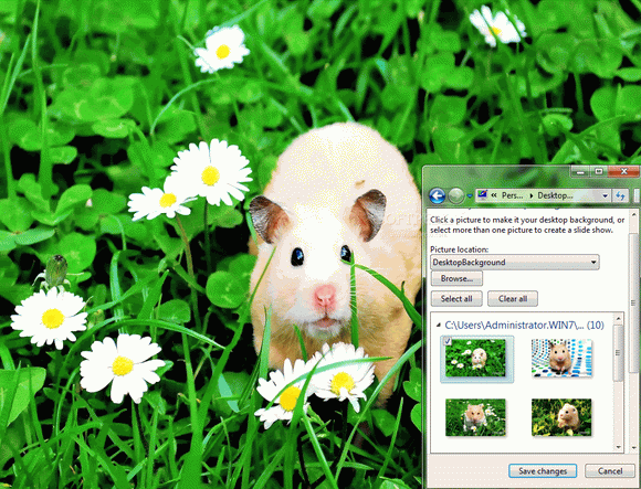 Cute Hamsters Windows 7 Theme Crack With Activation Code Latest 2024