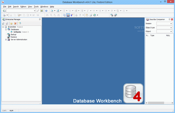 Database Workbench Lite for Firebird Crack + Serial Key