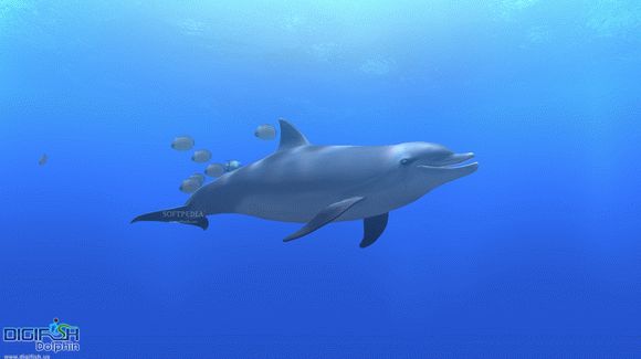 DigiFish Dolphin Crack & Keygen