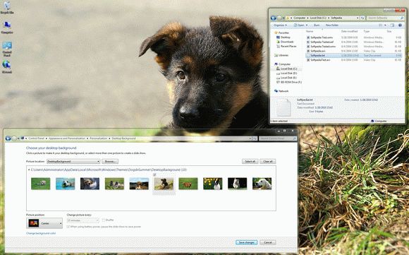 Dogs in Summer Windows 7 Theme Crack With Keygen Latest