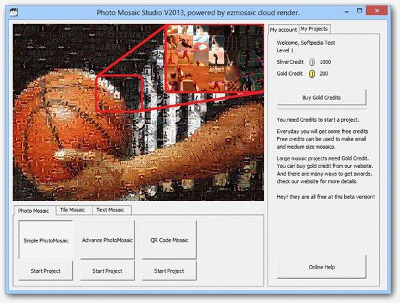 Photo Mosaic Studio (formerly Easy Photo Mosaic Maker Home Edition) Activation Code Full Version
