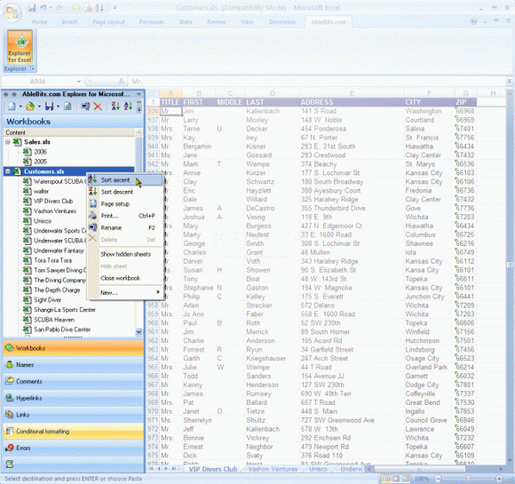 Explorer for Microsoft Excel Crack With Activation Code 2024