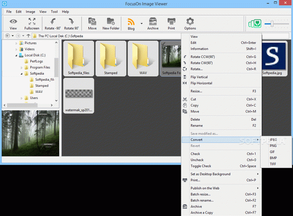 FocusOn Image Viewer Crack With Activator Latest 2024