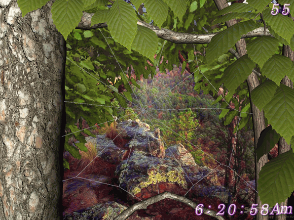 Forest Life 3D Screensaver Crack + Activator Download