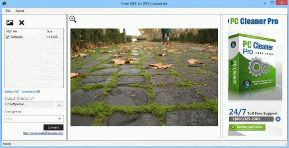 Free NEF to JPG Converter Activator Full Version