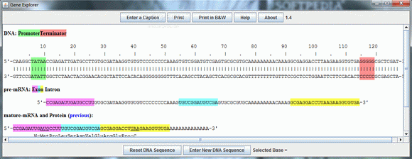 Gene Explorer Crack & Serial Key