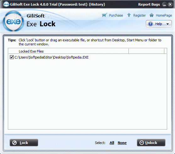 GiliSoft Exe Lock Crack With License Key