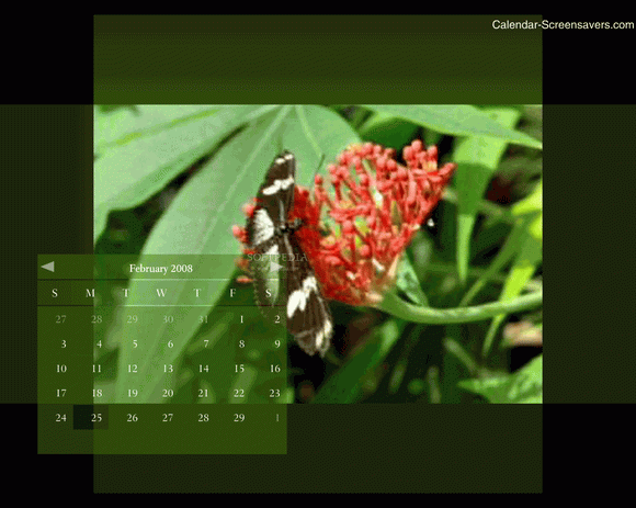 Gorgeous Butterflies Screensaver Crack With License Key Latest 2024