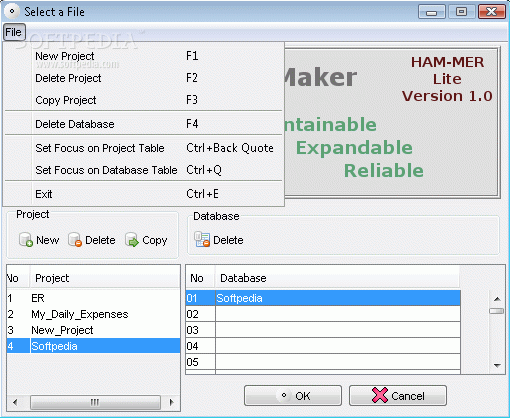 Handy Application Maker Crack + Serial Number Download
