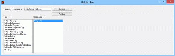 Hidden Pro Crack + Activation Code Download 2024