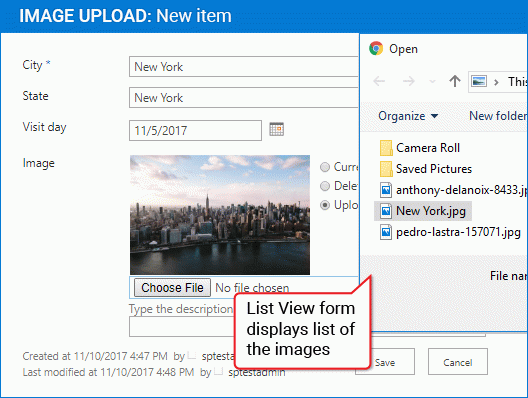 Image Upload Column for SharePoint Serial Number Full Version