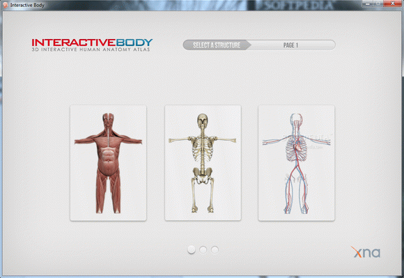 Interactive Body Crack + Keygen Updated