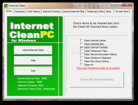 Internet Clean Crack Plus License Key