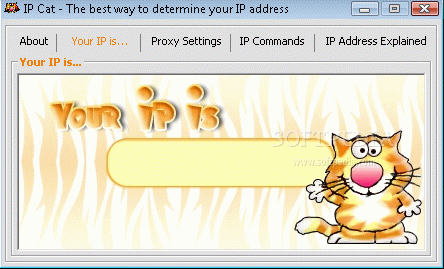 IP Cat Crack + Keygen Download 2024