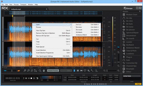 iZotope RX Advanced Audio Editor Crack With Activation Code