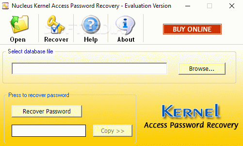 Nucleus Kernel Access Password Recovery Keygen Full Version