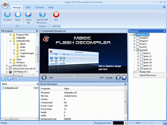 Magic Flash Decompiler Crack + Serial Key Download
