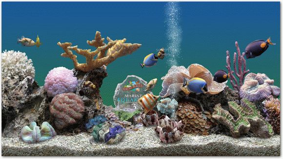Marine Aquarium Activator Full Version