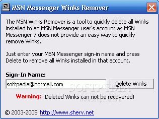 MSN Winks Remover Crack + Serial Number Updated