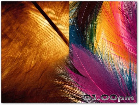 Nice Feathers Free Screensaver Crack Plus Activation Code