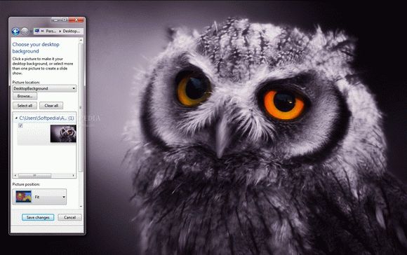 Night Owl Crack + Activator Download