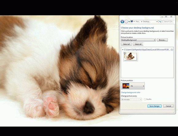 Papillon Puppy Crack + Serial Key Download 2024