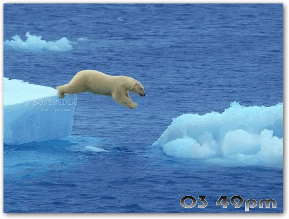 Polar Bears Free Screensaver Crack + License Key (Updated)