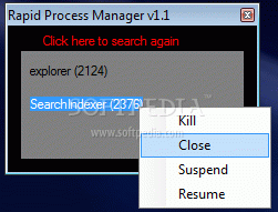 Portable Rapid Process Manager Crack With Activator Latest