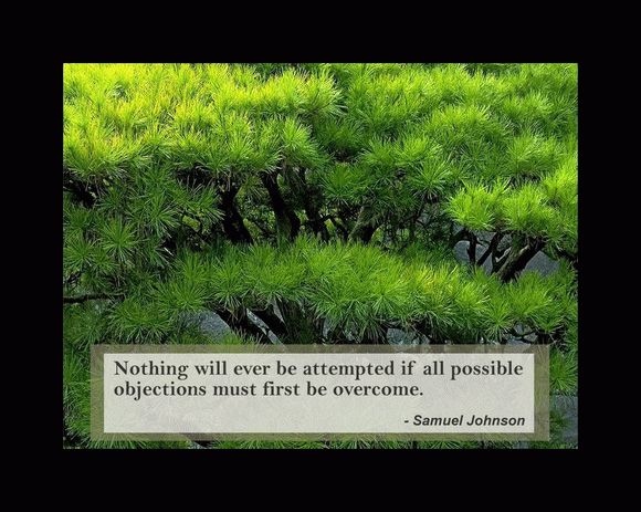 Quotes and Nature Screensaver Crack & Activation Code
